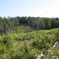 SU121112 Fayette Tract images 3
