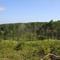 SU121112 Fayette Tract images 4