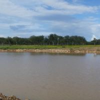 83 - Acres….Hunting Oaks Water Electricity available Tank Creek draw images 2
