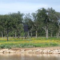 83 - Acres….Hunting Oaks Water Electricity available Tank Creek draw images 3
