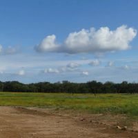 83 - Acres….Hunting Oaks Water Electricity available Tank Creek draw images 5