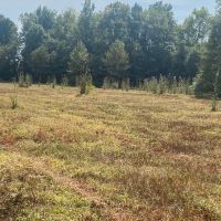 MS - Leflore 49 acres -