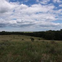 6502-NE-Lease-080-Whitetail-ASTU4RENEWP-BRARARI3VERNIO-OR1YC-Great Archery Whitetail Lease