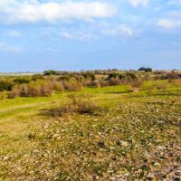 TBD Farm Road 1702 Unit 67 Dublin TX 76446 images 5