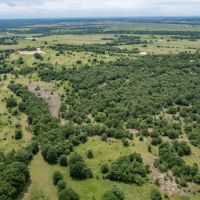 180 Acres-Lehigh OK HUNTING PROPERTY images 5