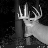 Recreational Hunting Land for Sale in Sauk County Wisconsin