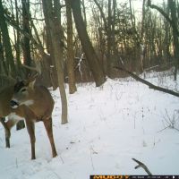 Recreational Hunting Land for Sale in Sauk County Wisconsin images 2