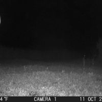 Recreational Hunting Land for Sale in Sauk County Wisconsin images 4