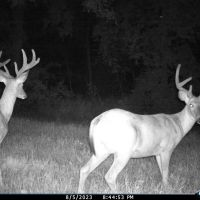 Recreational Hunting Land for Sale in Sauk County Wisconsin images 5