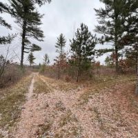 26 - acres of Waushara Country Hunting Land for Sale images 2