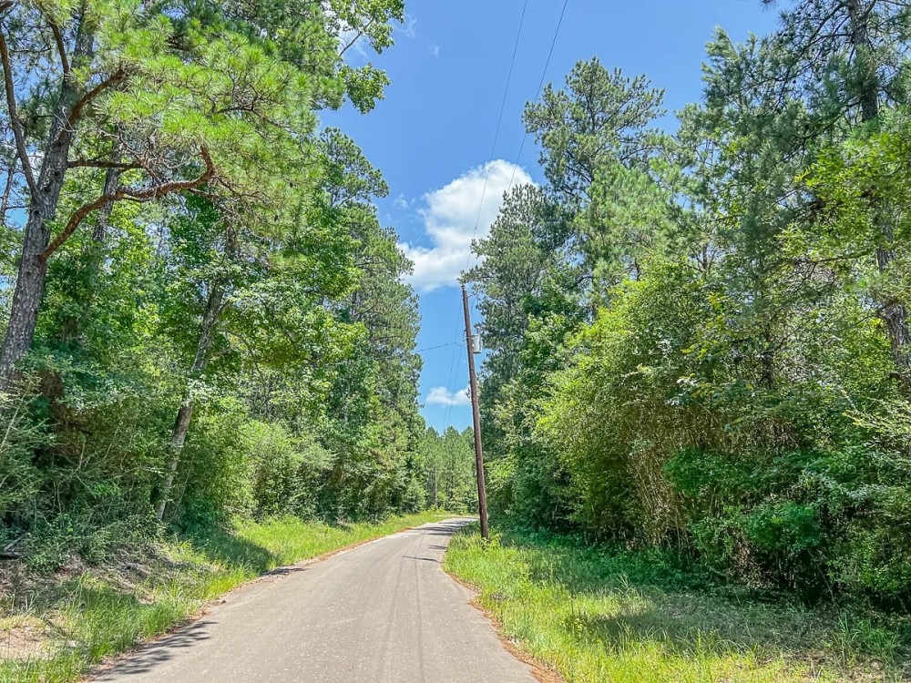 43 Acres CR 364 T-1 featured image