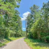 43 Acres CR 364 T-1