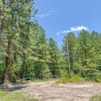 43 Acres CR 364 T-1 images 5