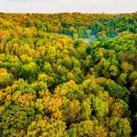 Clayton County Iowa 158 Acres of Land With Two Homes For Sale images 4