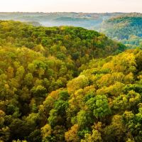 Clayton County Iowa 158 Acres of Land With Two Homes For Sale images 5