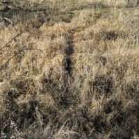 120 ACRES IN CLARKE COUNTY, IA!!