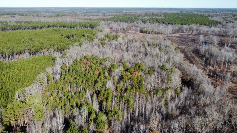 57.9 Acres in Carroll County MS featured image