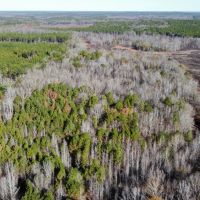 57.9 Acres in Carroll County MS