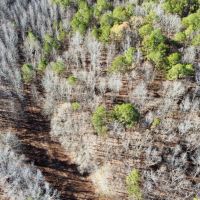 57.9 Acres in Carroll County MS images 2