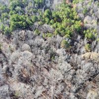 57.9 Acres in Carroll County MS images 3