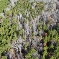 57.9 Acres in Carroll County MS images 4