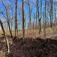 57.9 Acres in Carroll County MS images 5