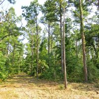 38.83 ACRES RUSK NACOGDOCHES COUNTY TEXAS