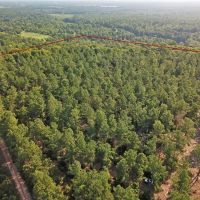 38.83 ACRES RUSK NACOGDOCHES COUNTY TEXAS images 2