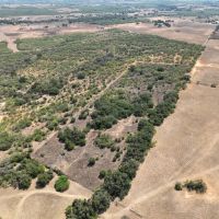 East Bexar Hideaway images 3