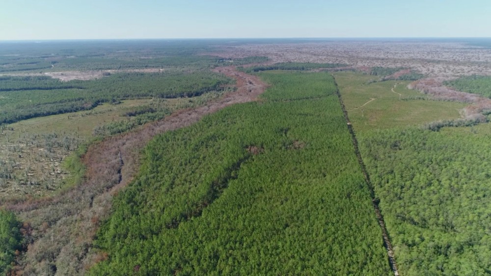 580 Acres of Recreation Land in Bay County FL featured image