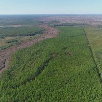 580 Acres of Recreation Land in Bay County FL