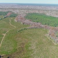 580 Acres of Recreation Land in Bay County FL images 2