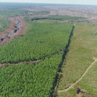 580 Acres of Recreation Land in Bay County FL images 3