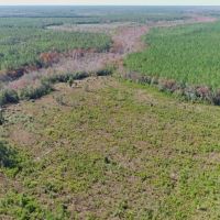 580 Acres of Recreation Land in Bay County FL images 4