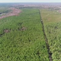 580 Acres of Recreation Land in Bay County FL images 5