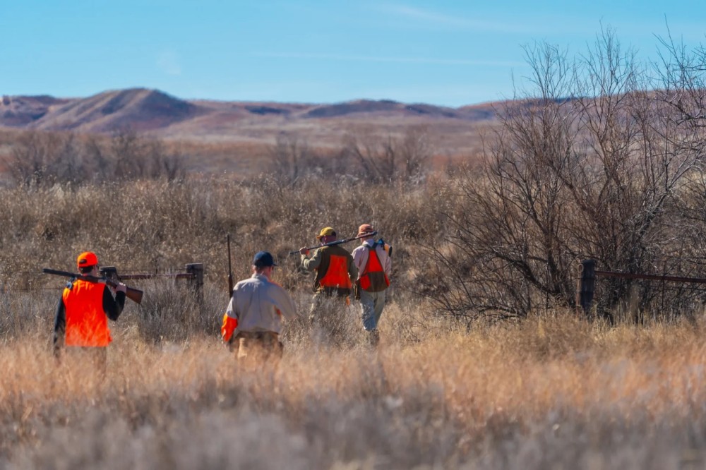 MV2 Ranch featured image