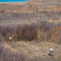 MV2 Ranch images 4