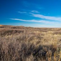 MV2 Ranch images 5