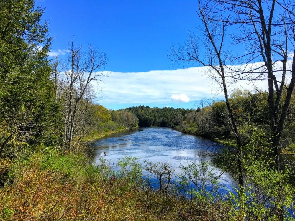 490 acres Riverfront Land on the Grasse River Russell NY featured image