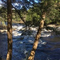 490 acres Riverfront Land on the Grasse River Russell NY images 2