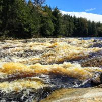 490 acres Riverfront Land on the Grasse River Russell NY images 3