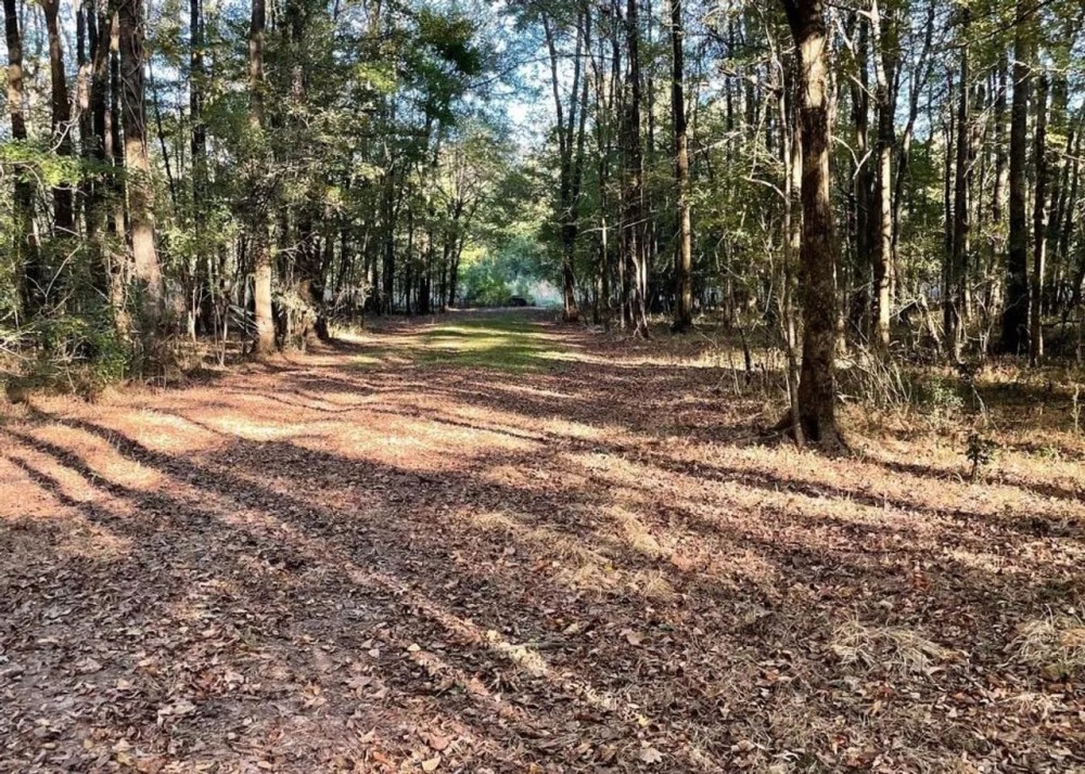 8.3 Acres Residential Land Lot for Sale in Clinton MS featured image