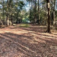 8.3 Acres Residential Land Lot for Sale in Clinton MS images 1