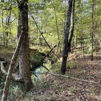 8.3 Acres Residential Land Lot for Sale in Clinton MS images 2