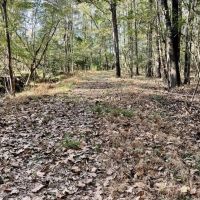 8.3 Acres Residential Land Lot for Sale in Clinton MS images 4