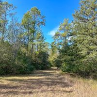 23 Acres FM 1374 images 2
