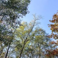 23 Acres FM 1374 images 4