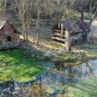 Ozarks Cattle Farm in Caulfield MO for Sale images 5