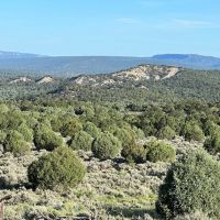 Incredible Elk Hunting Ranch in Chama Valley images 2