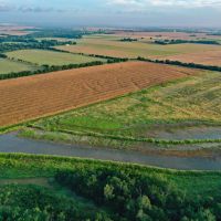 45.49 Acre Wetland Retreat images 2